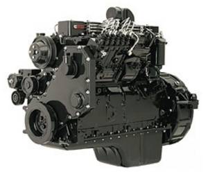 Dodge Cummins - 1994-1998 Dodge 5.9L 12V Cummins